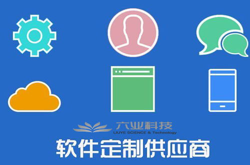 六業(yè)應用軟件開發(fā)全流程解析 從構(gòu)想到交付